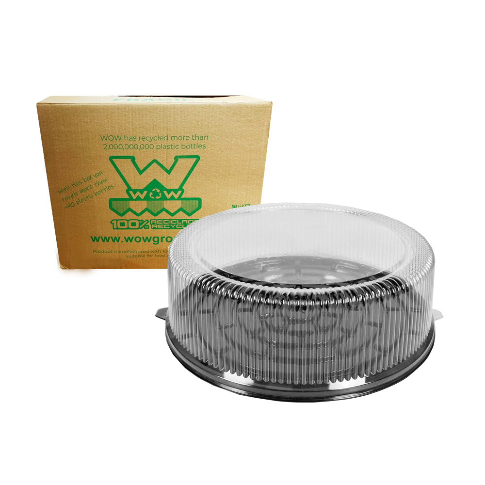 50 PZ DOMO P/PASTEL  DB12A.NG.PX-P32 WOW CAJA