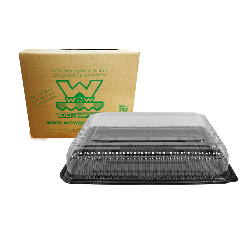 50 PZ DOMO P/PASTEL DB3525A WOW CAJA